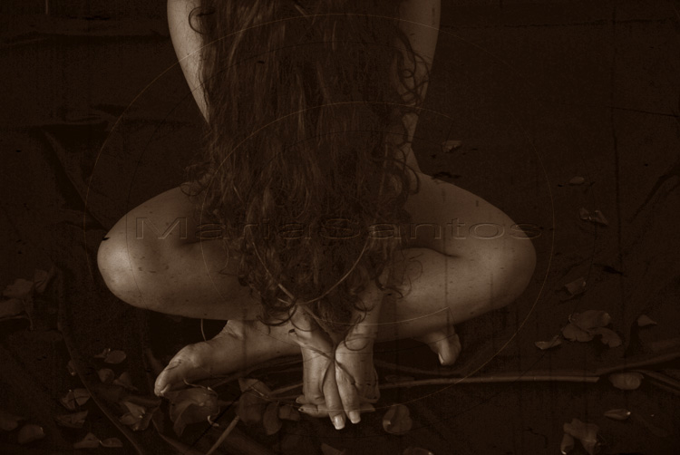 Do Not Give Me Roses, photography by Mariasantosms Photography. We may end up by saying: If you only want me to tie. 
. Nikon D80. In People, Body part