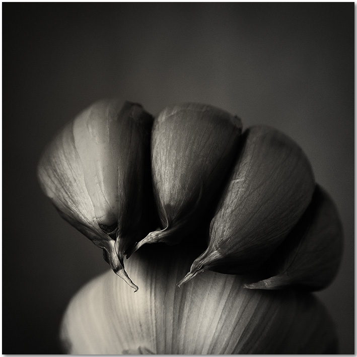 Nikon D70. PS. In Nature, Vegetal, Fruit, vegetable. Semi Still Life, photography by Nino C. J.. Image #234396