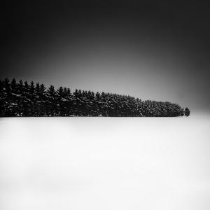 A Row Of Trees by Uwe Langmann