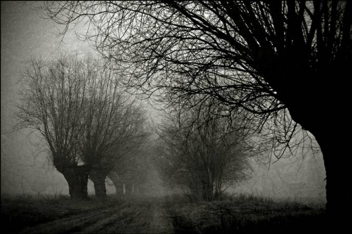 Country Road, photography by Witold Wiszniewski. In Nature, Scenery, Countryside