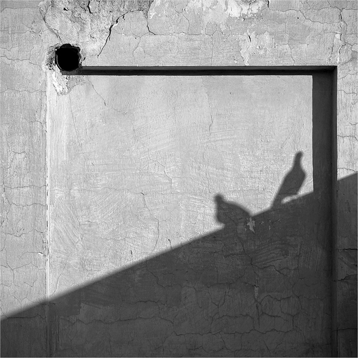 Overpass, photography by Witold Wiszniewski. In Construction, Element, Detail