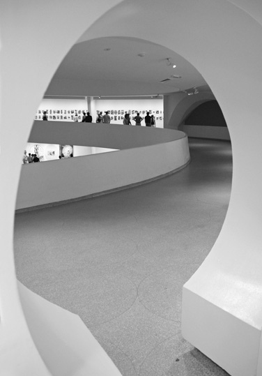 Guggenheim Perspective, Artwork by Annechia Van Den Berg. Sony DSLR A700