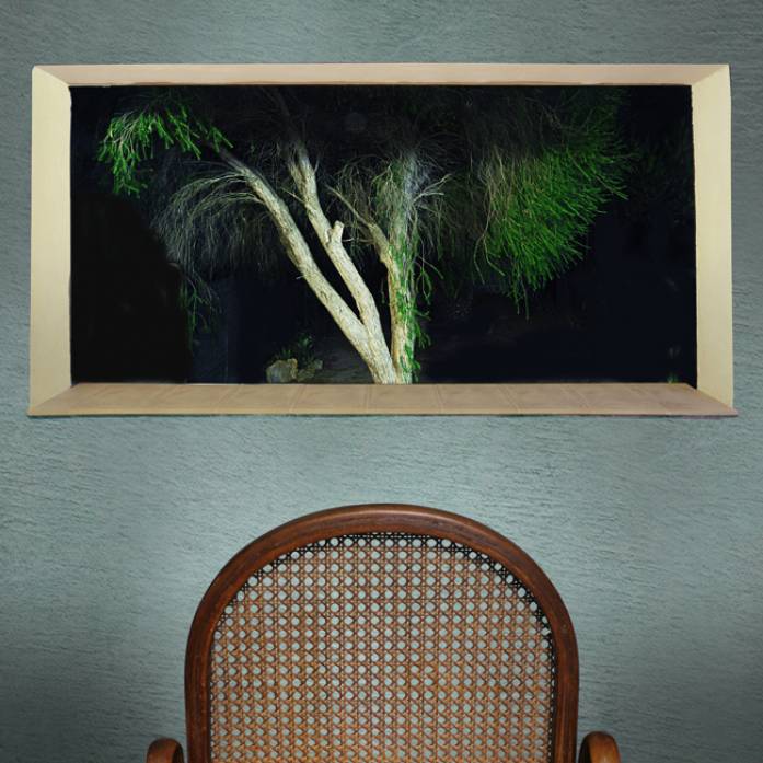 The Rocking Chair, photography by Giorgio Bisetti. In Nature, Vegetal, Tree, forest