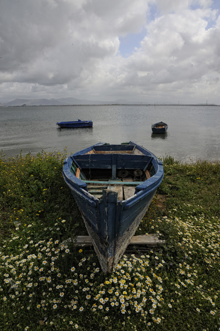In Transportation, Water, boat. The Boat And The Flowers, photography by Giorgio Bisetti. Image #386652