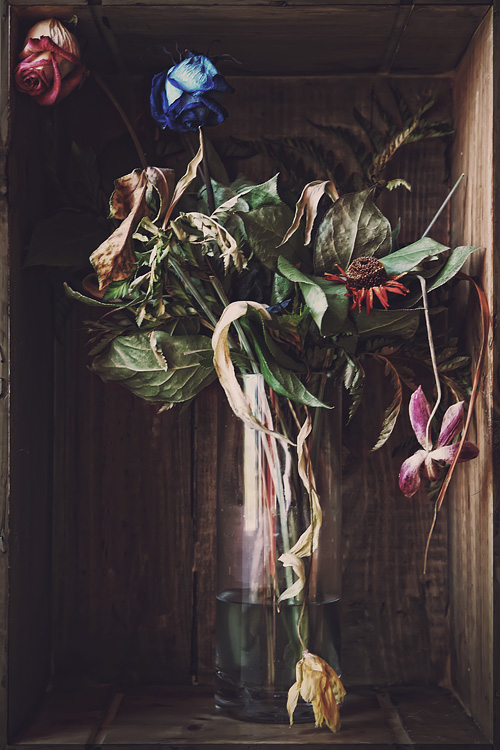 EOS 5D MkII. In Object, Still life. L'outrage Du Temps, photography by Michel Feugeas. Image #392432