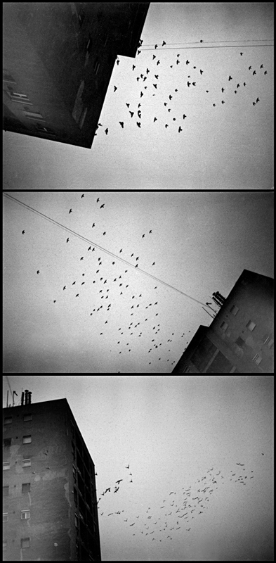 Away, photography by Zs&oacute;fia J&aacute;mbor. Mamiya Ze, Forte film. In Construction, Cityscape, skyline