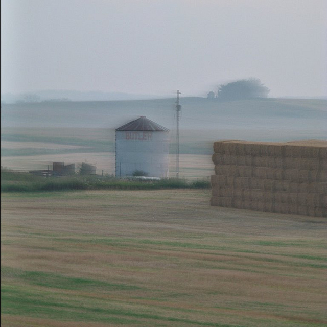 The Remains Of The Day, photography by Andrew Laird. Canon G-9. In Nature, Scenery, Countryside