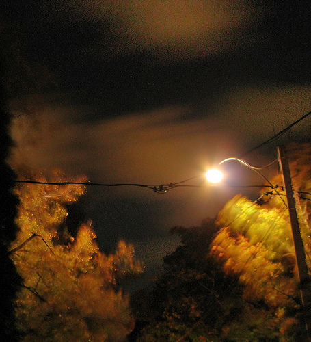 First Night Of The Fall, photography by Andrew Laird. Canon G9. In Construction, Edifice, Structure