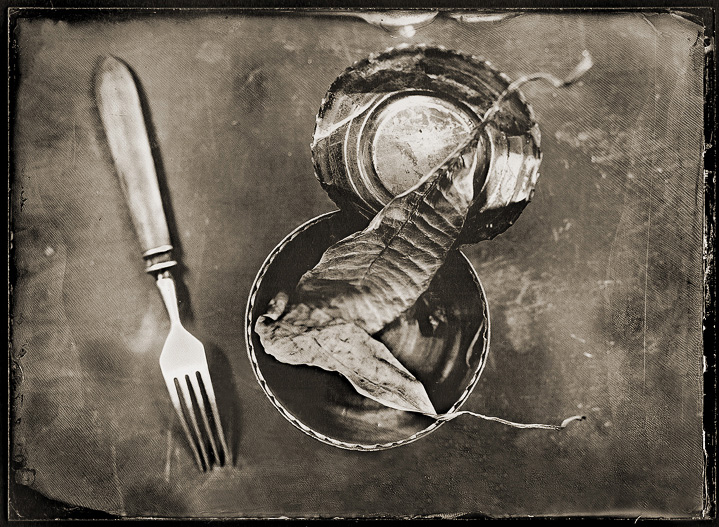 Traveller'S Breakfast, photography by Olga Vayner. FKD 13x18, Industar. wet-plate collodion. In Object, Still life