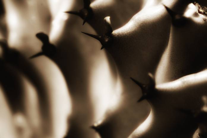 Pleasure & Pain, photography by Dibyendu Dutta