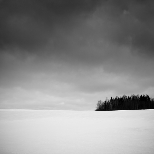 In Nature, Scenery, Countryside. Outskirts, photography by Armand Belakov. Image #267682