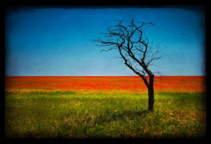 19:30, photography by Andrew Mayovskyy. Canon 400D. Lightroom, Photoshop. In Nature, Scenery, Countryside