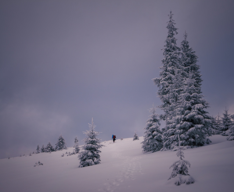 Vintage Adventure, painting by Andrew Mayovskyy. Canon 400D. Photoshop. In Nature, Scenery, Mountain