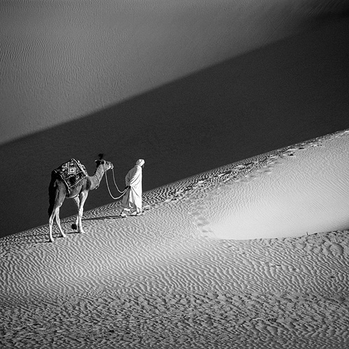Sahara, Artwork by Yvan Travert. In Nature, Scenery
