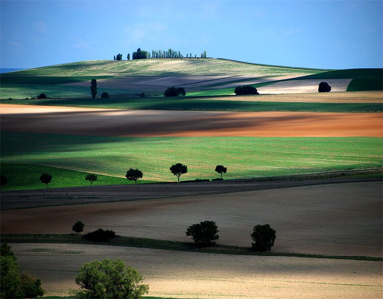 D'Ici et D'Ailleurs 1, photography by Ossiane. La Toscane en Champagne ... paysage mouvant ...

ombres planantes
sur r&ecirc;ve de Toscane
en terre de Sienne. Nikon. In Nature, Scenery, Countryside