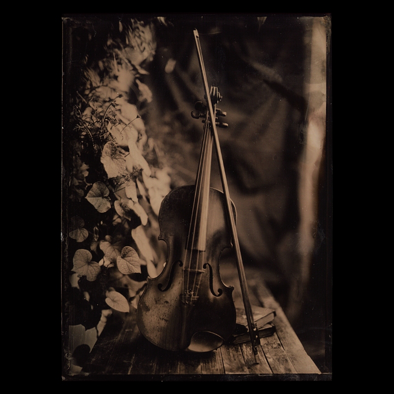 5x7 wooden camera. wet plate ambrotype. Untitled, image by Marcin Szwaczko. Image #398679