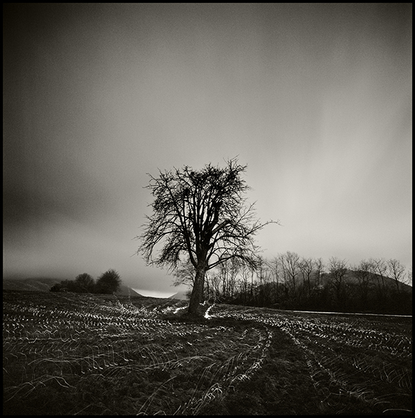 Hasselblad SWC. In Nature, Scenery, Countryside. Un Jeu Sans Fin, Un Je Sans Faim - I And I For What I Hope, photography by Herv&eacute; Schmelzle. Image #409854