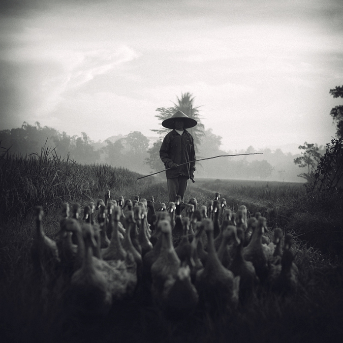 Dans Gens, Divers. Conductor, photographie de Tommy Cavarela. Image #393116
