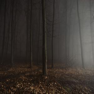 Foggy Night by Dimitri Bogachuk