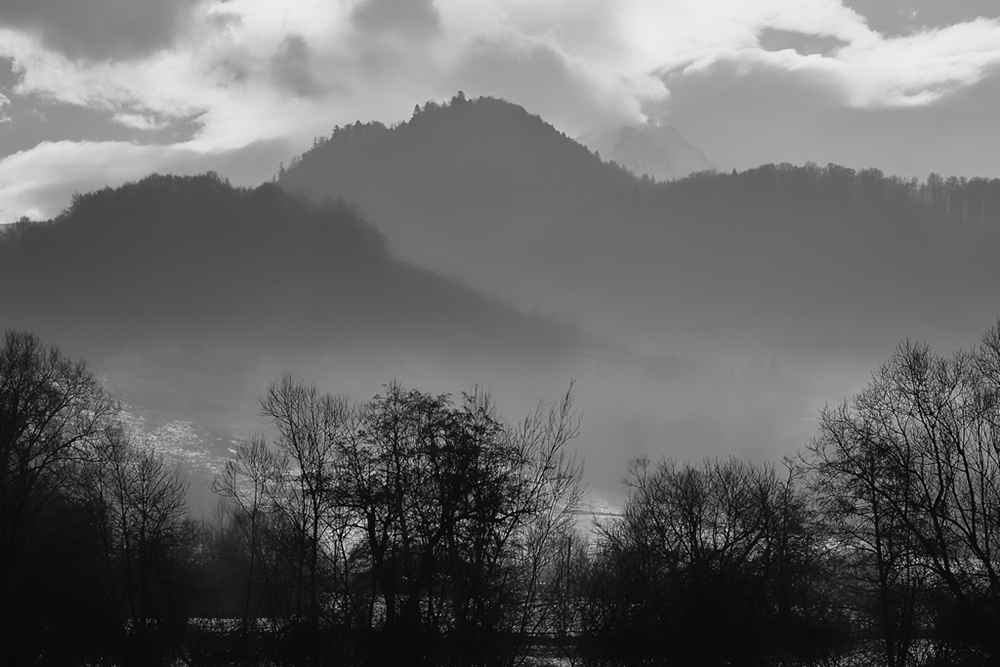 Untitled, image by Bogdan Bousca. Image #396846