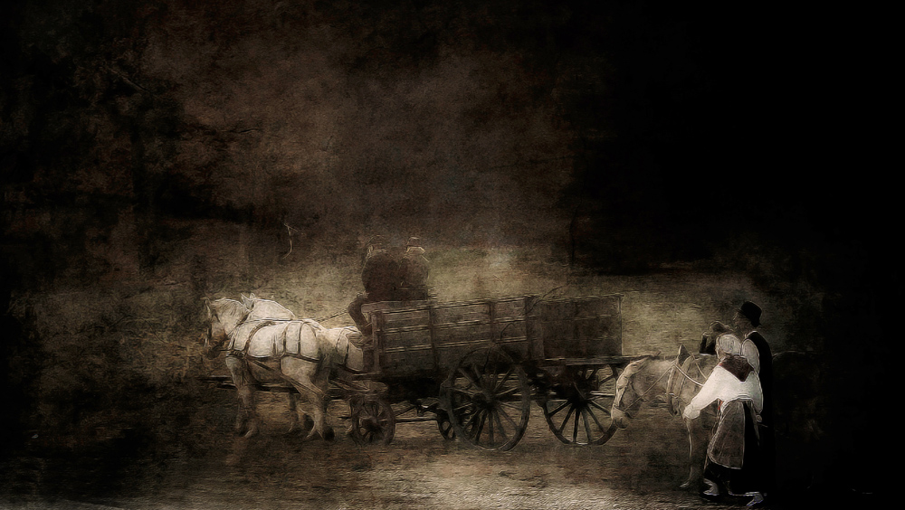 Once Upon A Time 2, image by Jean Michel Pinot. Image #364543