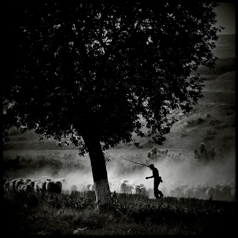 romania.
© Alexandru Crisan 2009. In Nature, Scenery, Countryside. Far Away 3, photography by Alexandru Crisan. Image #391761
