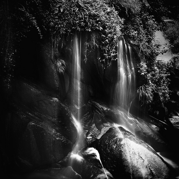 Water Poem, image by Wei Chuan Liu Lwc71. Image #308671