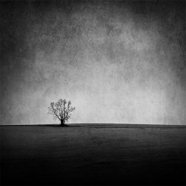Inspired by Apocalyptica and dedicated to a good friend of mine who recently passed away.
Texture by http://darkwood67.deviantart.com/. Panasonic Lumix DMC-FZ100. Digital Overlays. In Nature, Vegetal, Tree, forest. Last Farewell, processing by Florian Schmidt. Image #394605