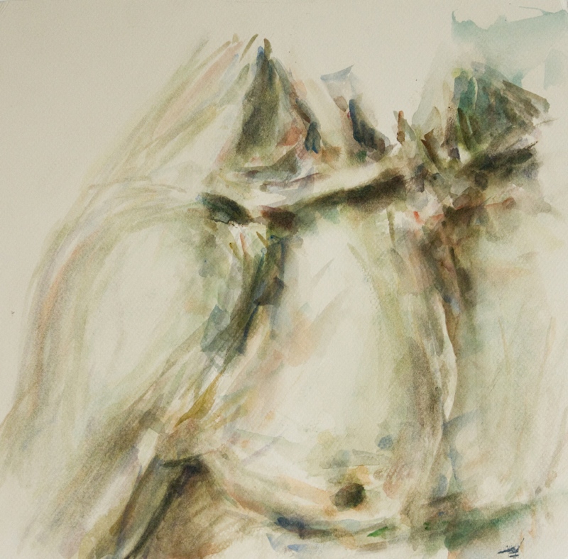 Le torse 3 -aquarelle 30 x 30cm -2010. peinture. Aquarelle. Dans Gens, Divers, Homme. Le Torse, peinture de Frédéric Faye. Image #382720
