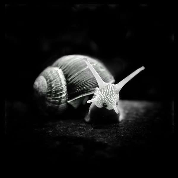 Fuji x100. What?, image by Fabienne Collard. Image #392833