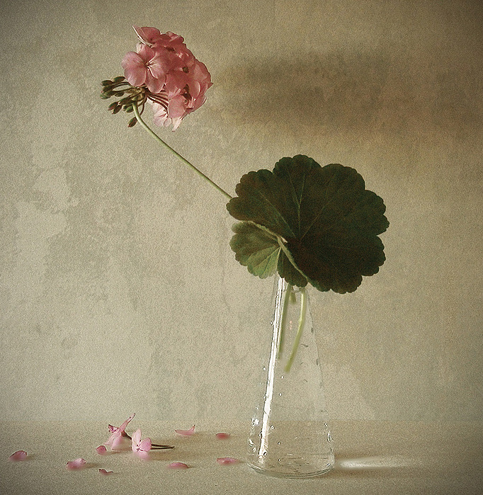 In Object, Still life. Untitled, photography by Andrei Blank. Image #297277