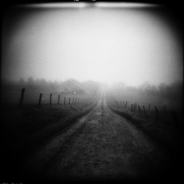 Holga, FP4+. Adox APH09 (Rodinal) 1+100 stand dev.. In Nature, Scenery, Countryside. Plastic Land #6, photography by Alain Baumgarten. Image #390125