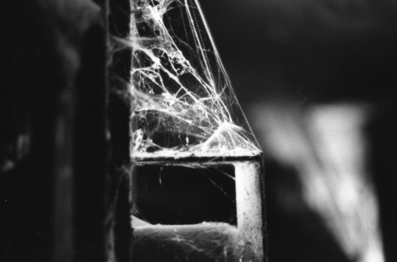 PentaxMeSuper+Smc Pentax 50mm f/1.4 Fomapam 400. In Other. Untitled, photography by Fabrizio Tedde. Image #394224