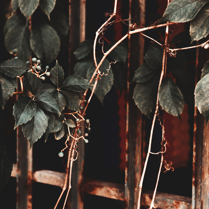Eos 5DMKII. Untitled, photography by Fabrizio Tedde. Image #398587
