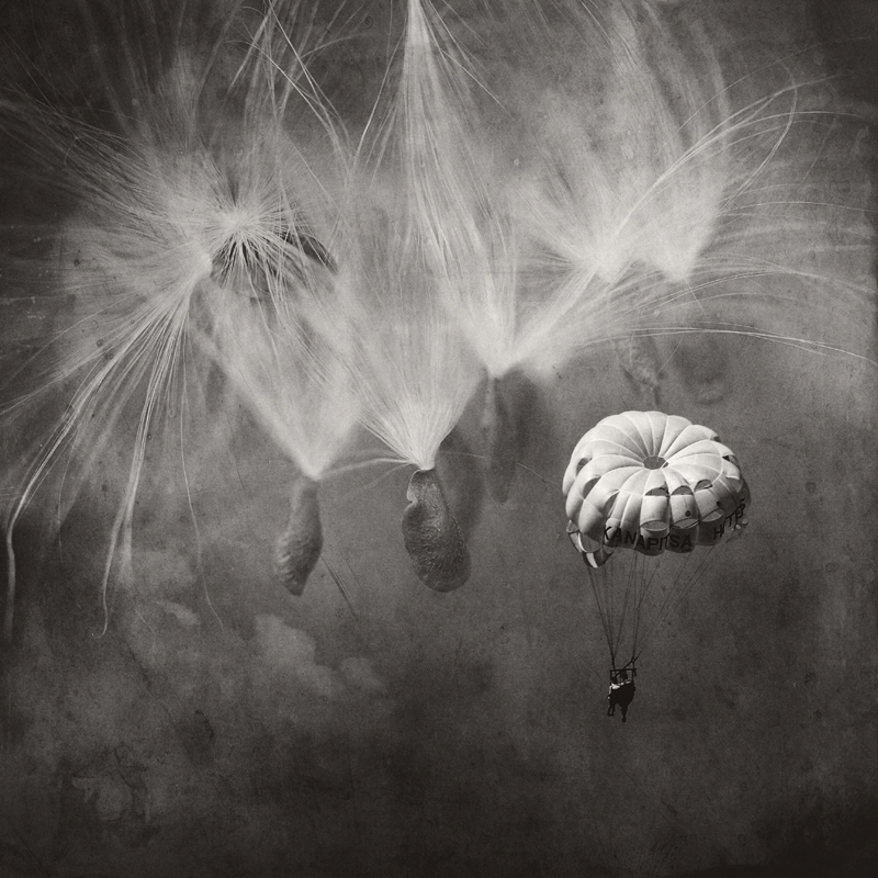 Canon Eos 5D Mark II. Montage. A Leap Into The Unknown, image by Maria Frodl. Image #332240