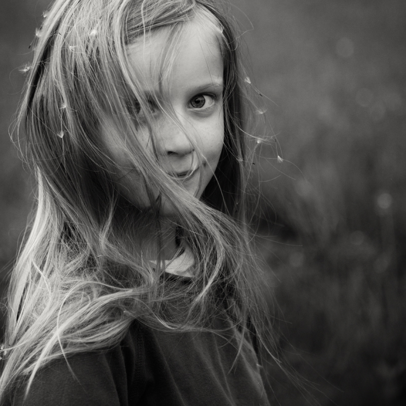 Canon Eos 5D Mark II. Being A Dandelion, image de Maria Frodl. Image #389009