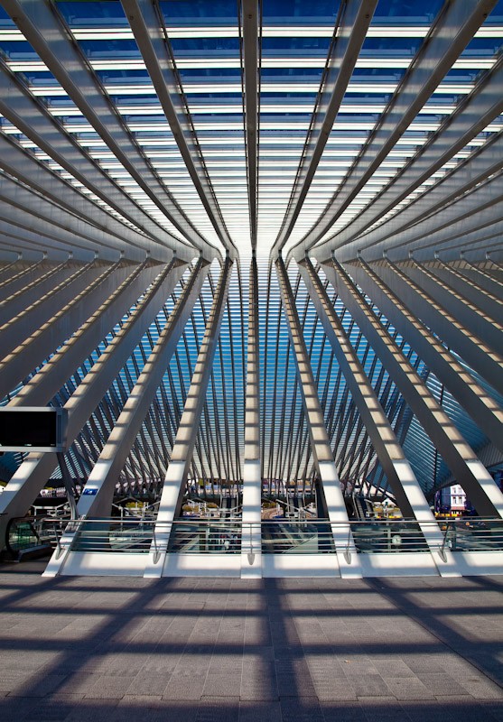 Graphisme Architectural, Artwork by Frank Smout. D&eacute;tail de la gare des Guillemins qui se trouve &agrave; Li&egrave;ge en Belgique - Architecte Calatrava, Espagne. CANON EOS 5D MARK II. PHOTO DIGITALE FUL FRAME + RAW + ADOBE LIGHTROOM