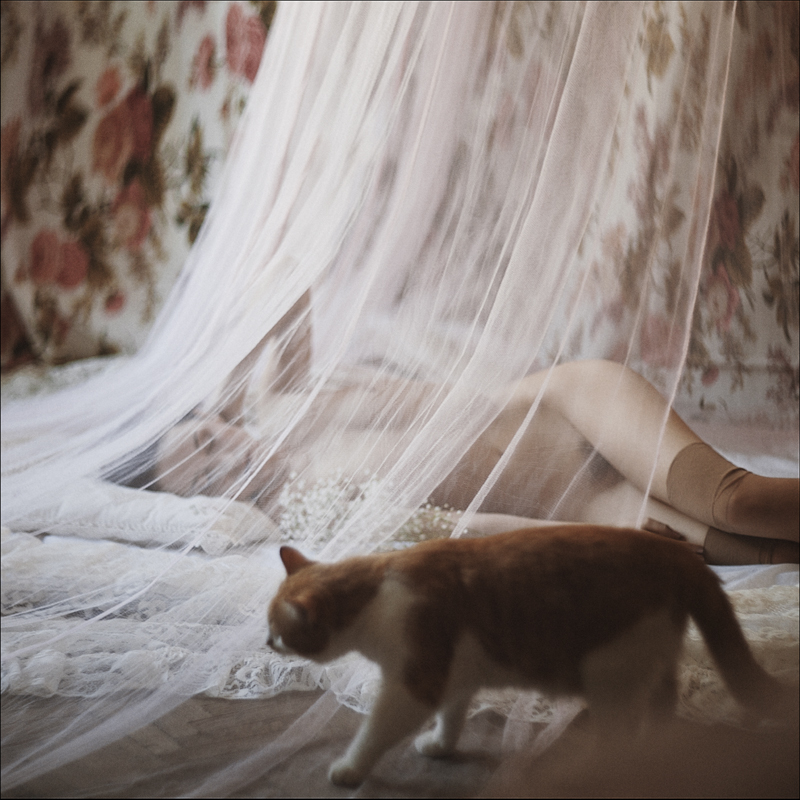 Untitled, image by Aleksandra Aleks. Image #382885