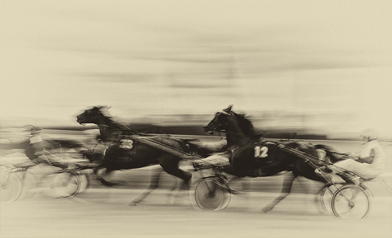 Photographie. Les Trotteurs, image by Sophie Camman. Image #336098
