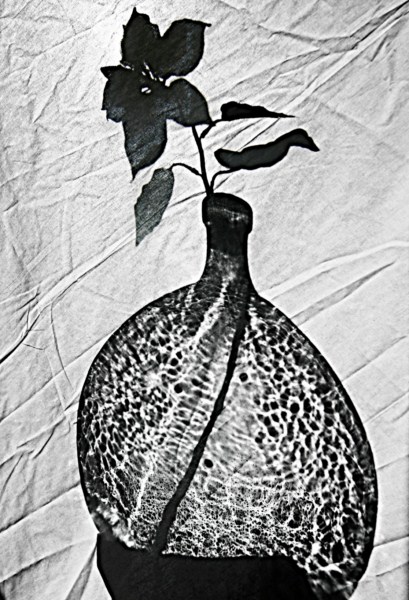 Fleur, image by Andre Allio. Image #394339