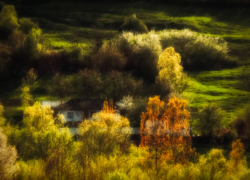 Canon 500d, 70-200 lens.. Elsicră, image by Elena C.. Image #386807