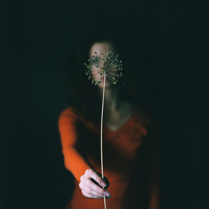 Bronica SQ-Ai. In Nature, Vegetal, Flower, plant. Autumn, photography by Senkov Victor. Image #413043