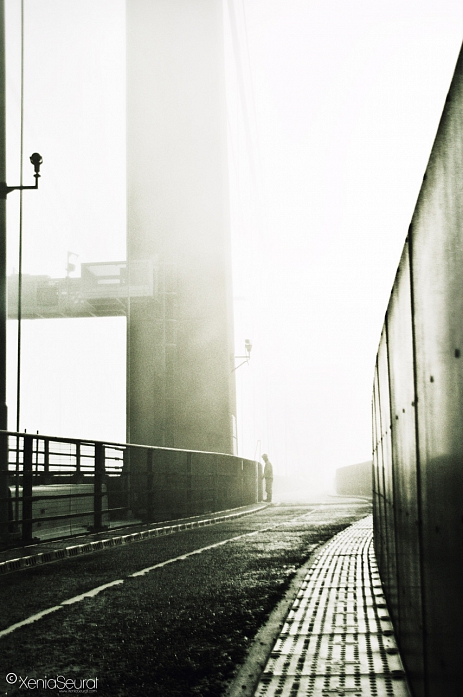 Morning Mist, image by Xenia Seurat. Image #356107