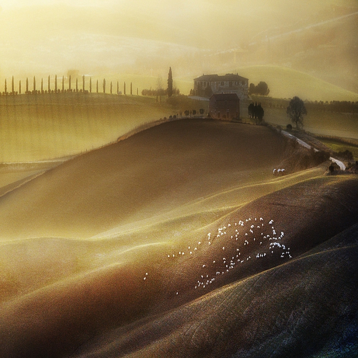 Nikon D200. Tuscany Land, image by Jaroslaw Pawlak. Image #360939