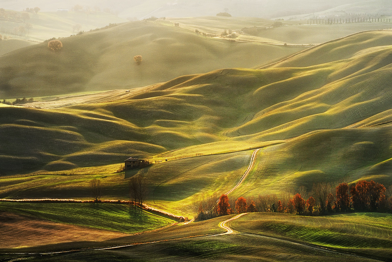 Nikon D200. Dicembre, image by Jaroslaw Pawlak. Image #398698