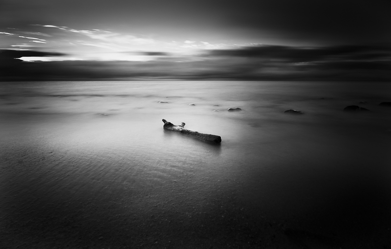 ND 3.0. Dans Nature, Element, Eau. Driftwood #2, photographie de Zeiko. Image #402502