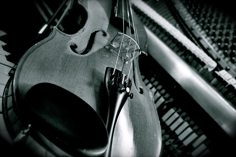 Violin, image de Simone Zeffiro. Image #394949