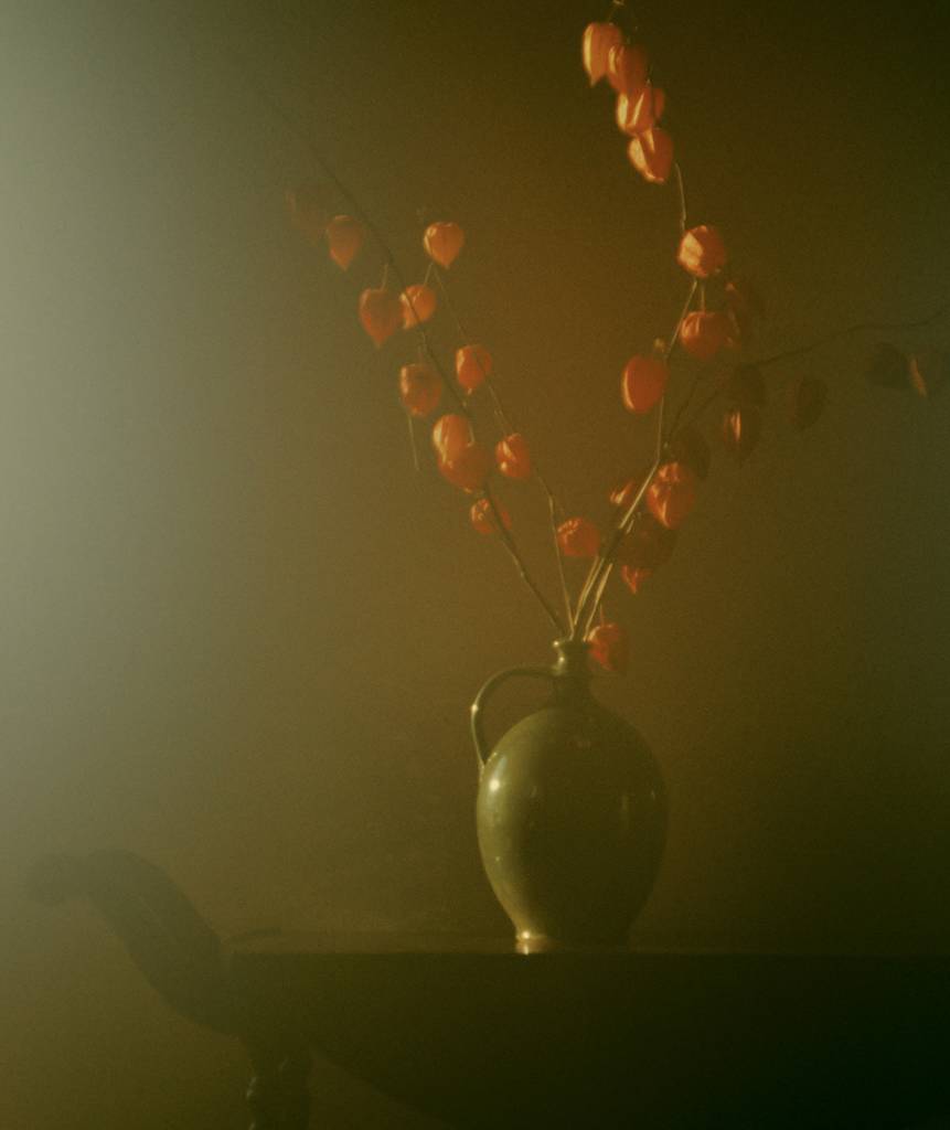 canon EF. In Nature, Vegetal, Flower, plant. Euonymus, 1978, photography by Thomas Vanderbruck. Image #389483