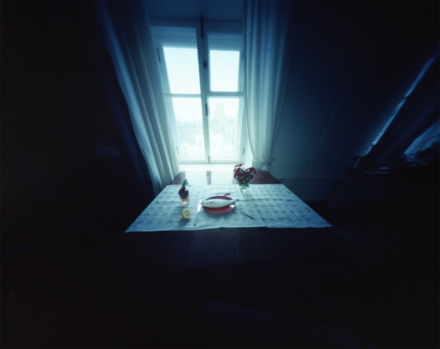 pinhole. In Object, Still life. Fish, photography by Daria Litvishko. Image #408490