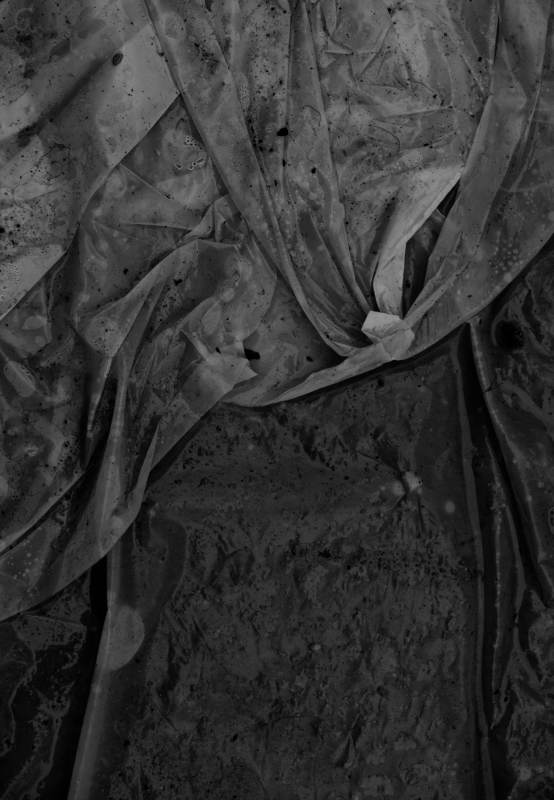 souvent, dans les caniveaux, je vois des compositions et des matières qui me plaisent.. sony nex 5. photographie numérique. Déchet, image de Raphaële Colombi. Image #402457